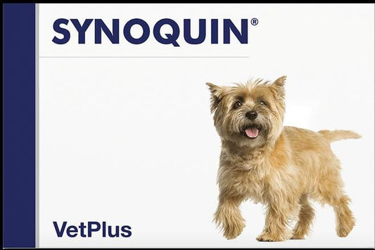 Synoquin Small Breed