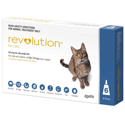 Revolution Topical Solution for Cats, 5.1-15 lbs - 1 Pipette